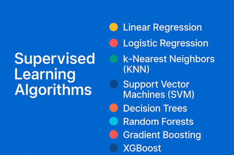 Supervised Learning Algorithms